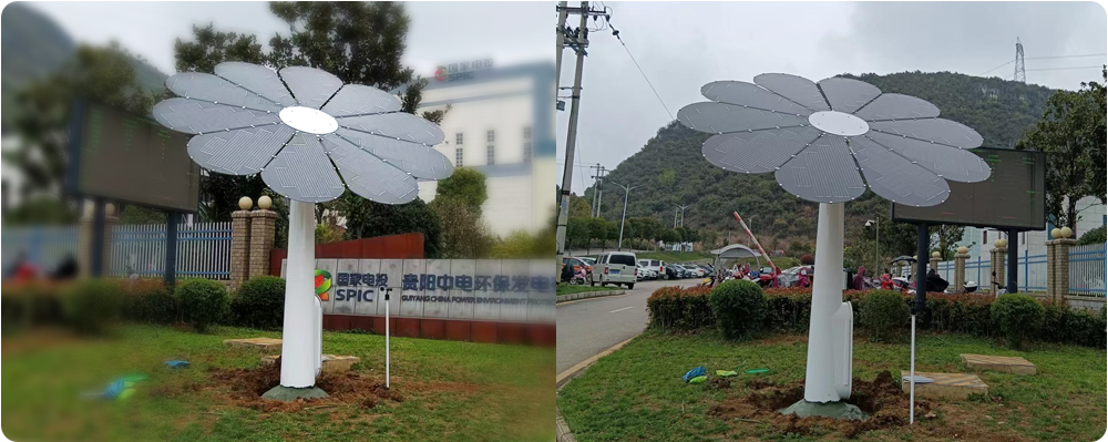貴州光伏花.png